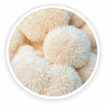 ingredient9
