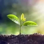 imgi_23_icon_natural