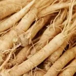 imgi_25_eleuthero-root