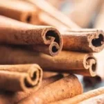 imgi_27_cinnamon-cassia